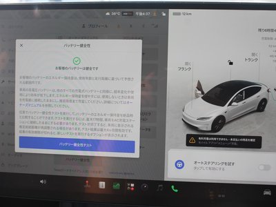 2024 Tesla MODEL 3 缩略图 33
