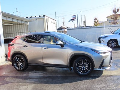 LEXUS NX - 4