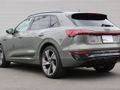 2025 AUDI Q8 E-TRON 缩略图 23