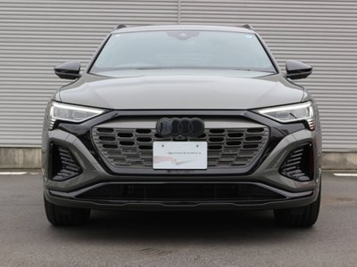 2025 AUDI Q8 E-TRON 缩略图 16