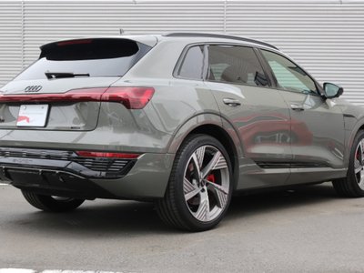 2025 AUDI Q8 E-TRON 缩略图 22