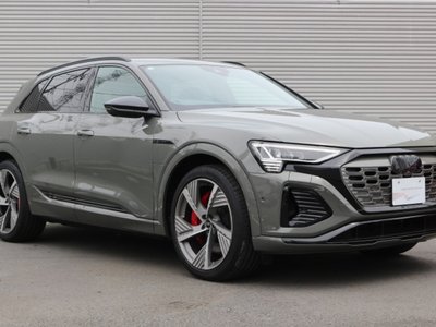 2025 AUDI Q8 E-TRON 缩略图 20