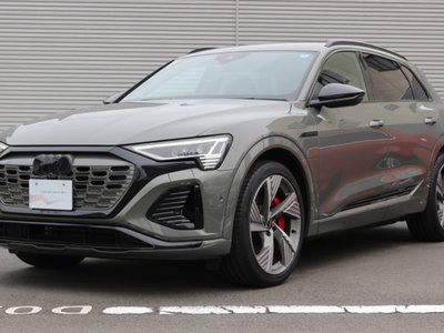 2025 AUDI Q8 E-TRON 缩略图 21