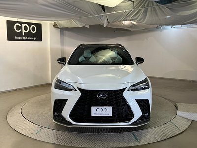 LEXUS NX - 6