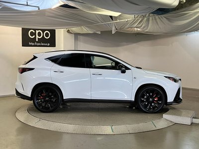 LEXUS NX - 10