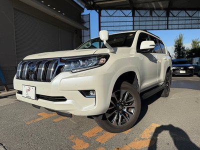 TOYOTA LAND CRUISER PRADO - 7