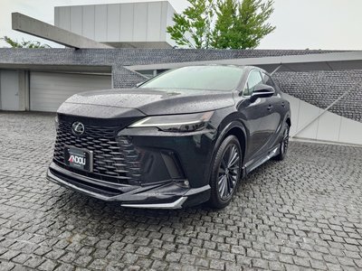 2025 Lexus RX — фото 1