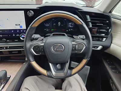 2025 Lexus RX 缩略图 13