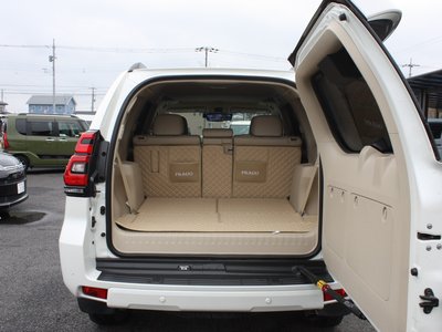 TOYOTA LAND CRUISER PRADO - 5