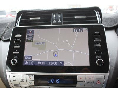 TOYOTA LAND CRUISER PRADO - 10