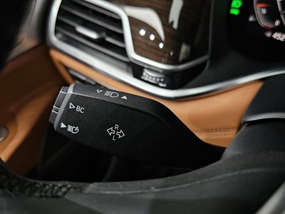 2019 BMW 7 SERIES 缩略图 38