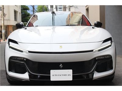 2025 FERRARI PUROSANGUE 照片 2