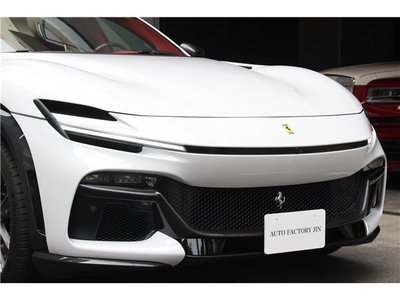 2025 FERRARI PUROSANGUE 照片 6