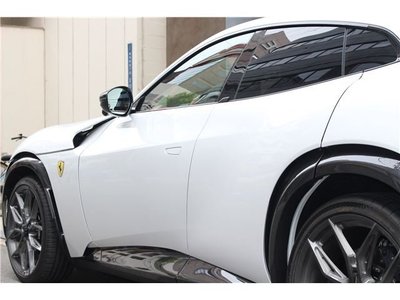 2025 Ferrari PUROSANGUE 缩略图 17