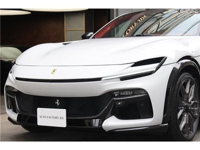2025 FERRARI PUROSANGUE 照片 7