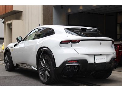 2025 Ferrari PUROSANGUE 缩略图 13