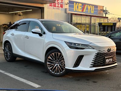 LEXUS RX - 6