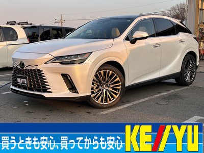 LEXUS RX - 1