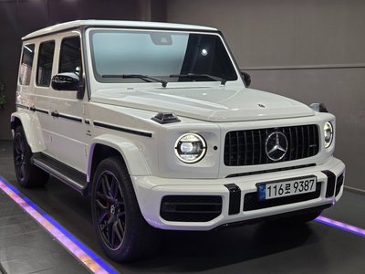 MERCEDES-BENZ G-CLASS - 1