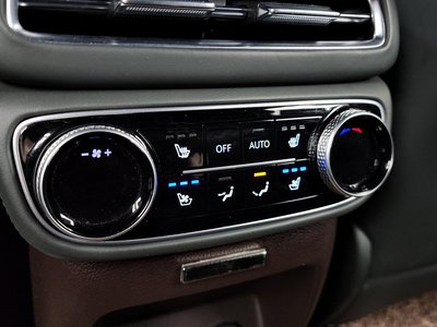 2020 Genesis GV80 缩略图 17