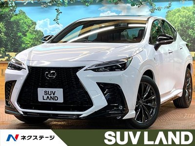 LEXUS NX - 1