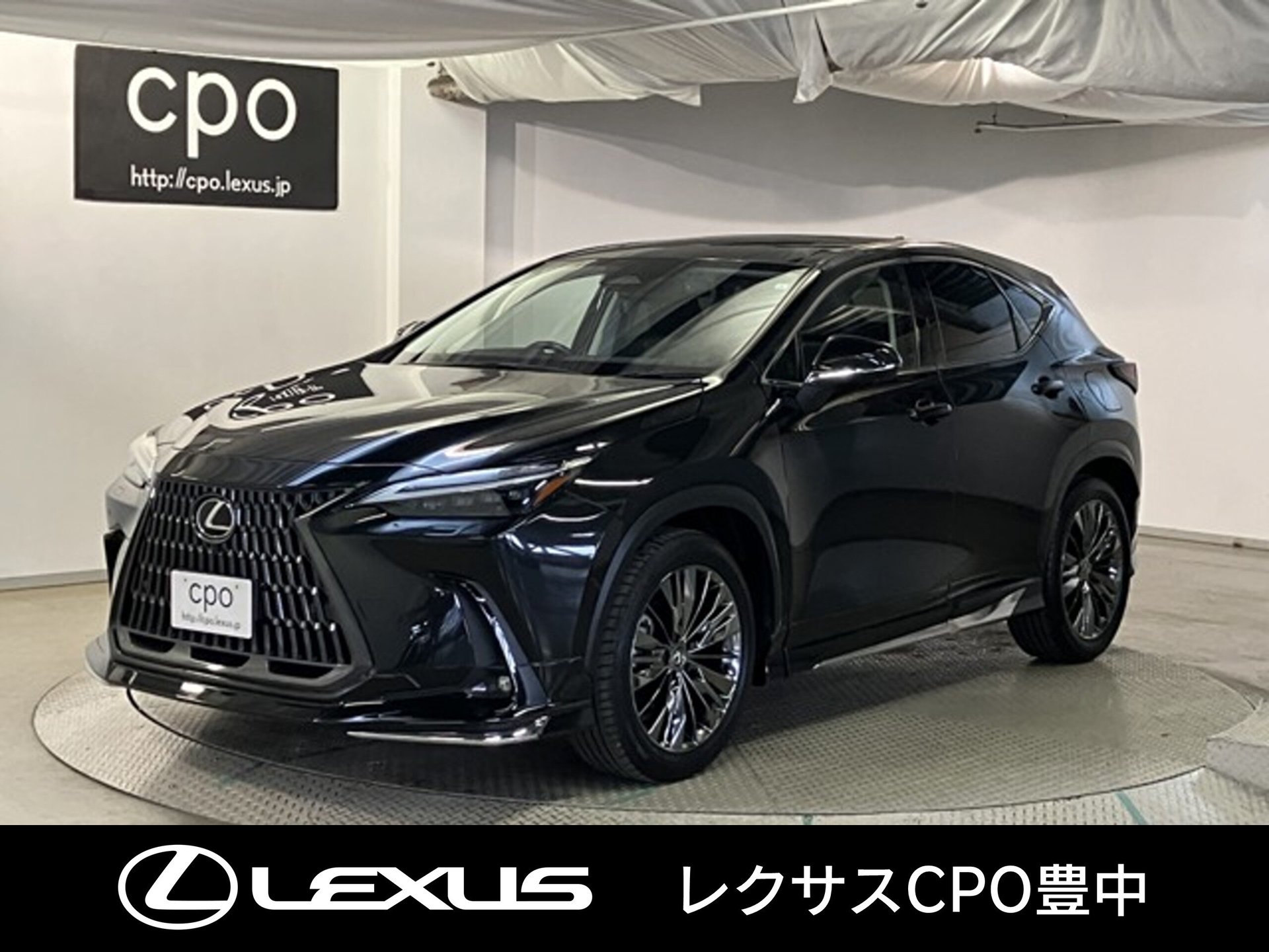 LEXUS NX - View 1
