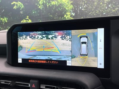 TOYOTA LAND CRUISER 250 - 5