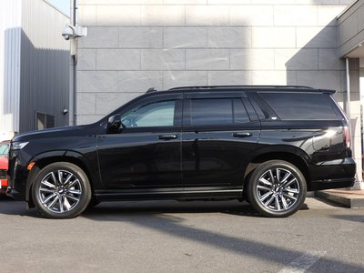 2021 Cadillac ESCALADE 缩略图 16