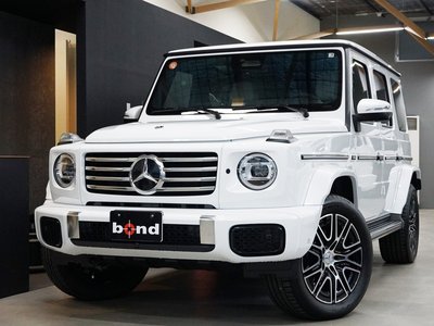 MERCEDES-BENZ G-CLASS - 1