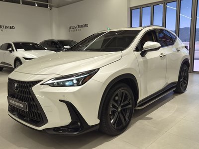 LEXUS NX - 1