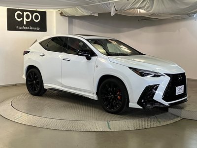LEXUS NX - 10