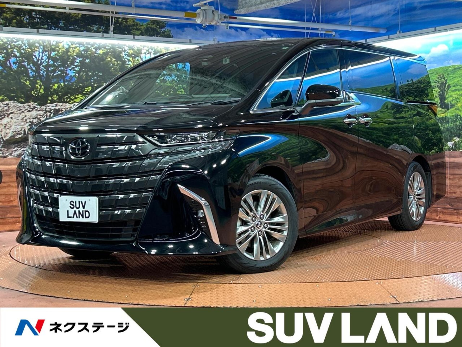 TOYOTA ALPHARD - View 1