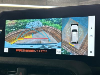 TOYOTA LAND CRUISER 250 - 5