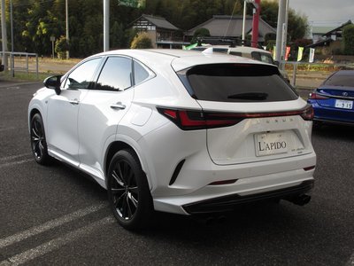 LEXUS NX - 10