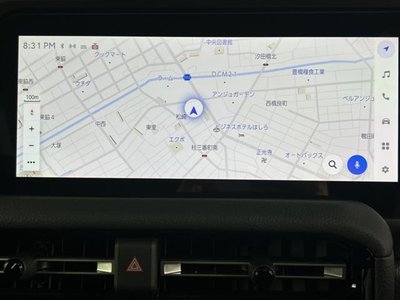 TOYOTA LAND CRUISER 250 - 10