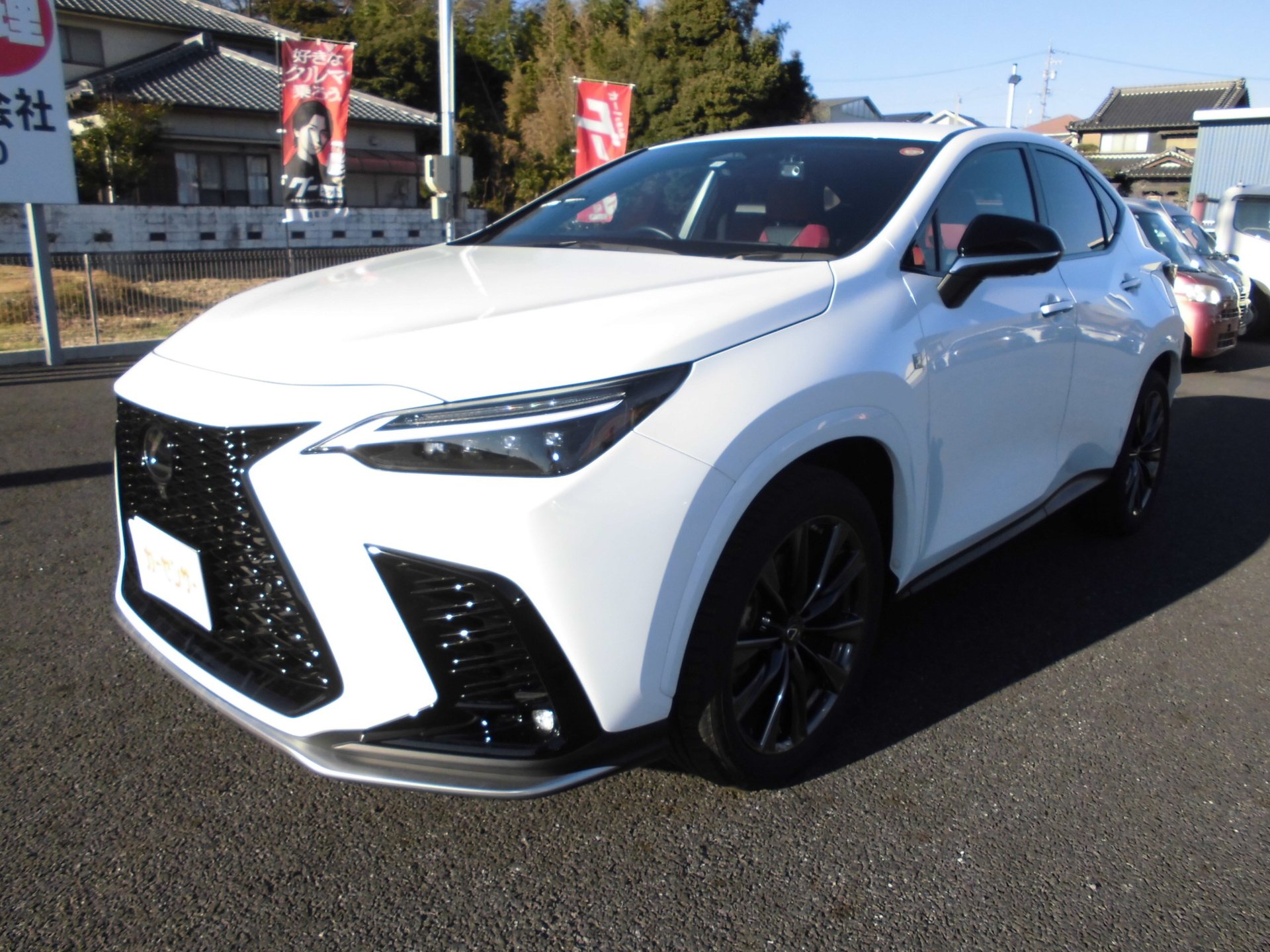LEXUS NX - View 1