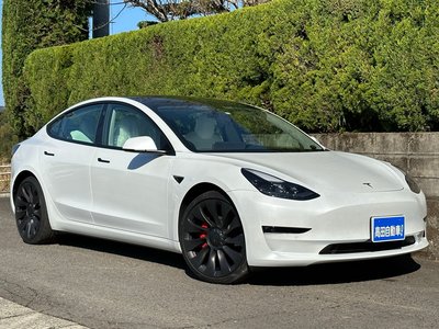 TESLA MODEL 3 - 1