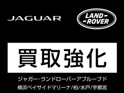 LAND ROVER RANGE ROVER VELAR 2024 thumbnail 3