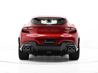 2024 FERRARI PUROSANGUE 照片 6