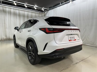 LEXUS NX - 6
