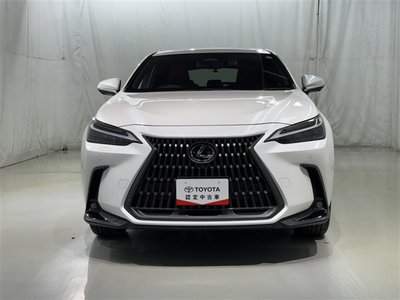 LEXUS NX - 4