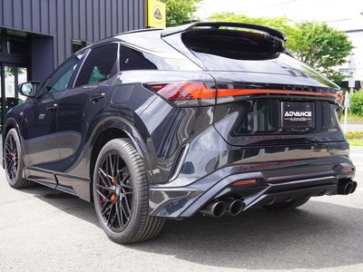 2023 Lexus RX photo 10