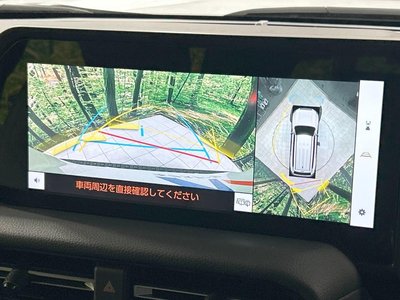 2024 Toyota LAND CRUISER 250 photo 5