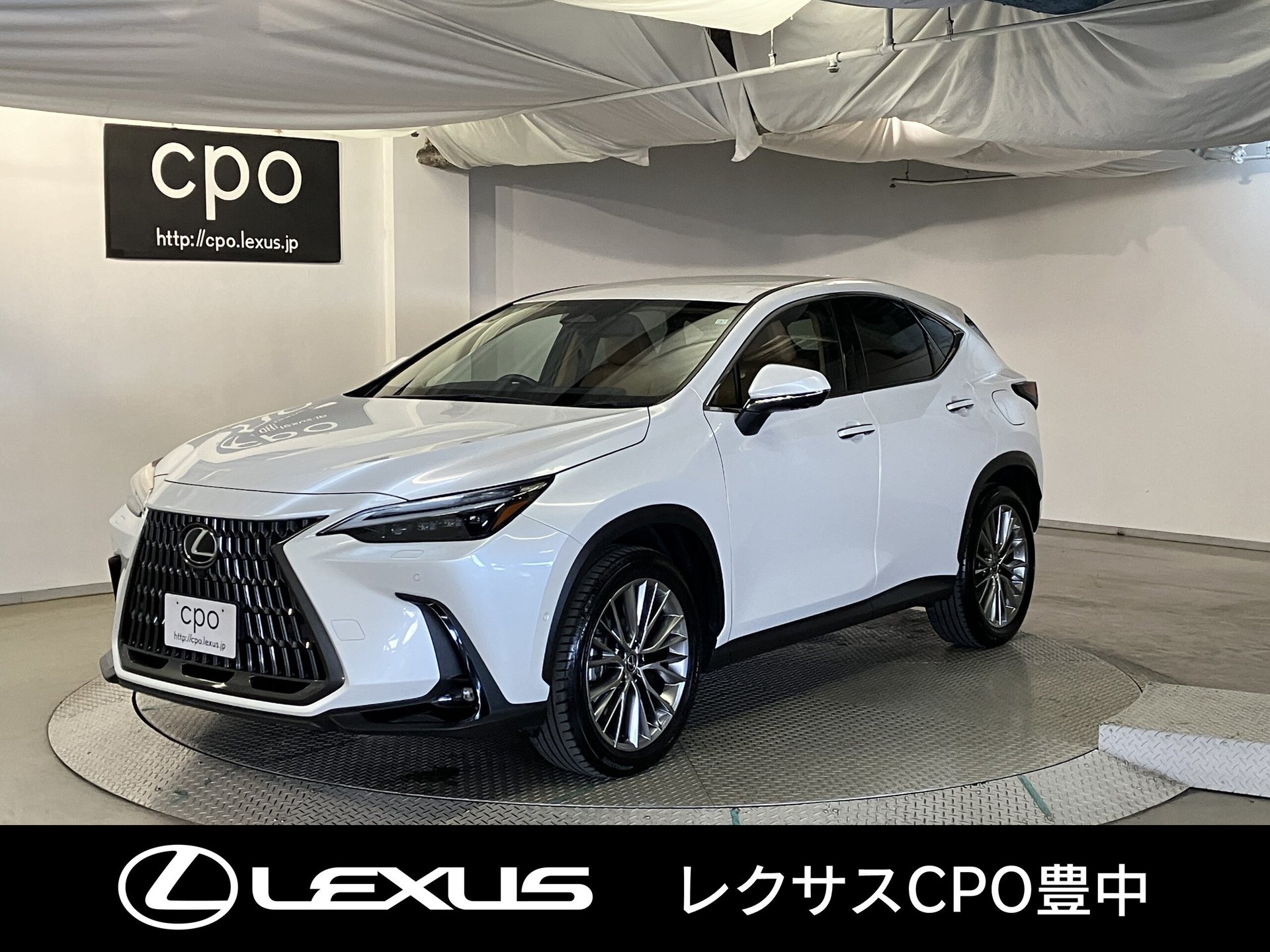 LEXUS NX - View 1