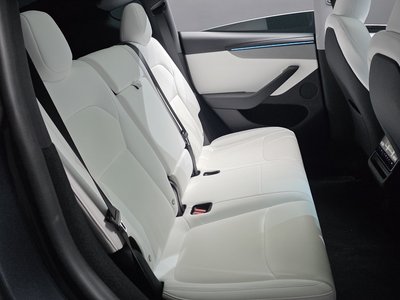 2025 Tesla MODEL Y 缩略图 17
