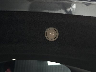 2025 Tesla MODEL Y 缩略图 30