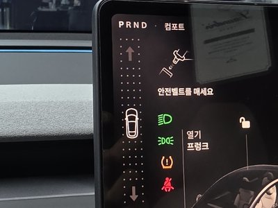 2025 Tesla MODEL Y 缩略图 12