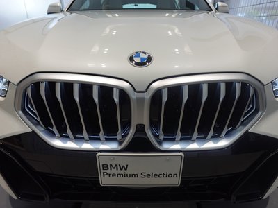 2026 BMW X6 — миниатюра 63