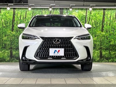 2023 Lexus NX — миниатюра 14