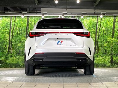 2023 Lexus NX — миниатюра 15